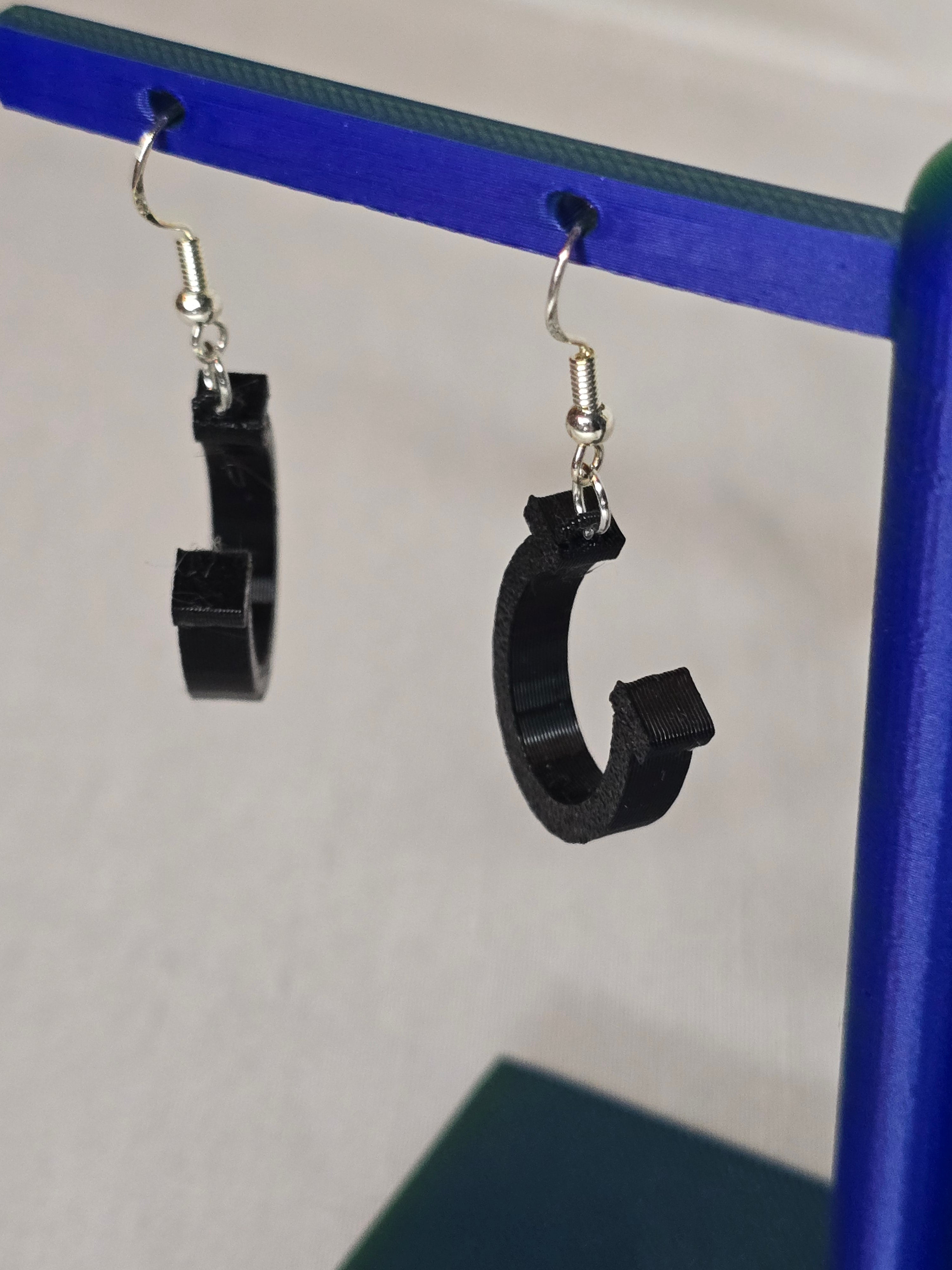 Horseshoe Earrings